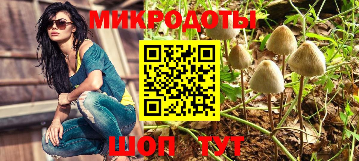 Псилоцибиновые грибы мухоморы Тихвин