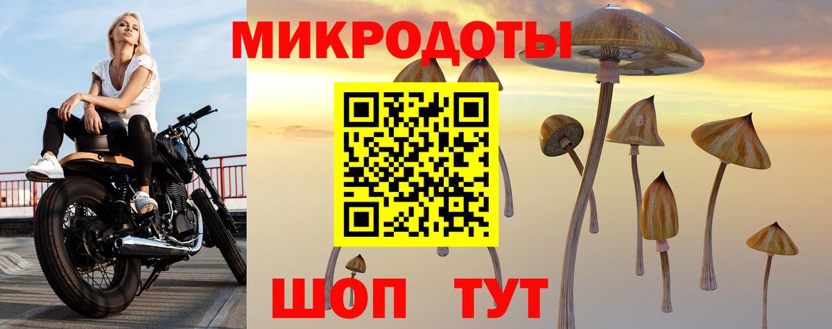 Тихвин  Псилоцибиновые грибы ЛСД  Вход с VPN 